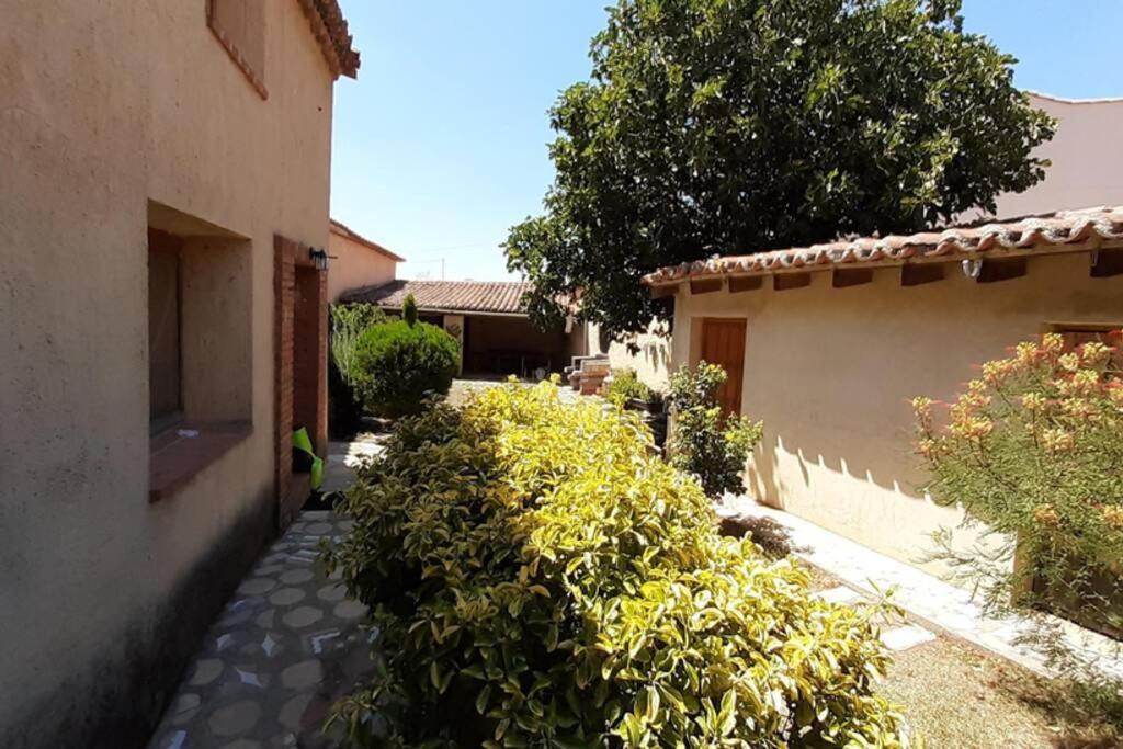 Casa Rural La Paloma - Zamora Manganeses de la Lampreana Dış mekan fotoğraf