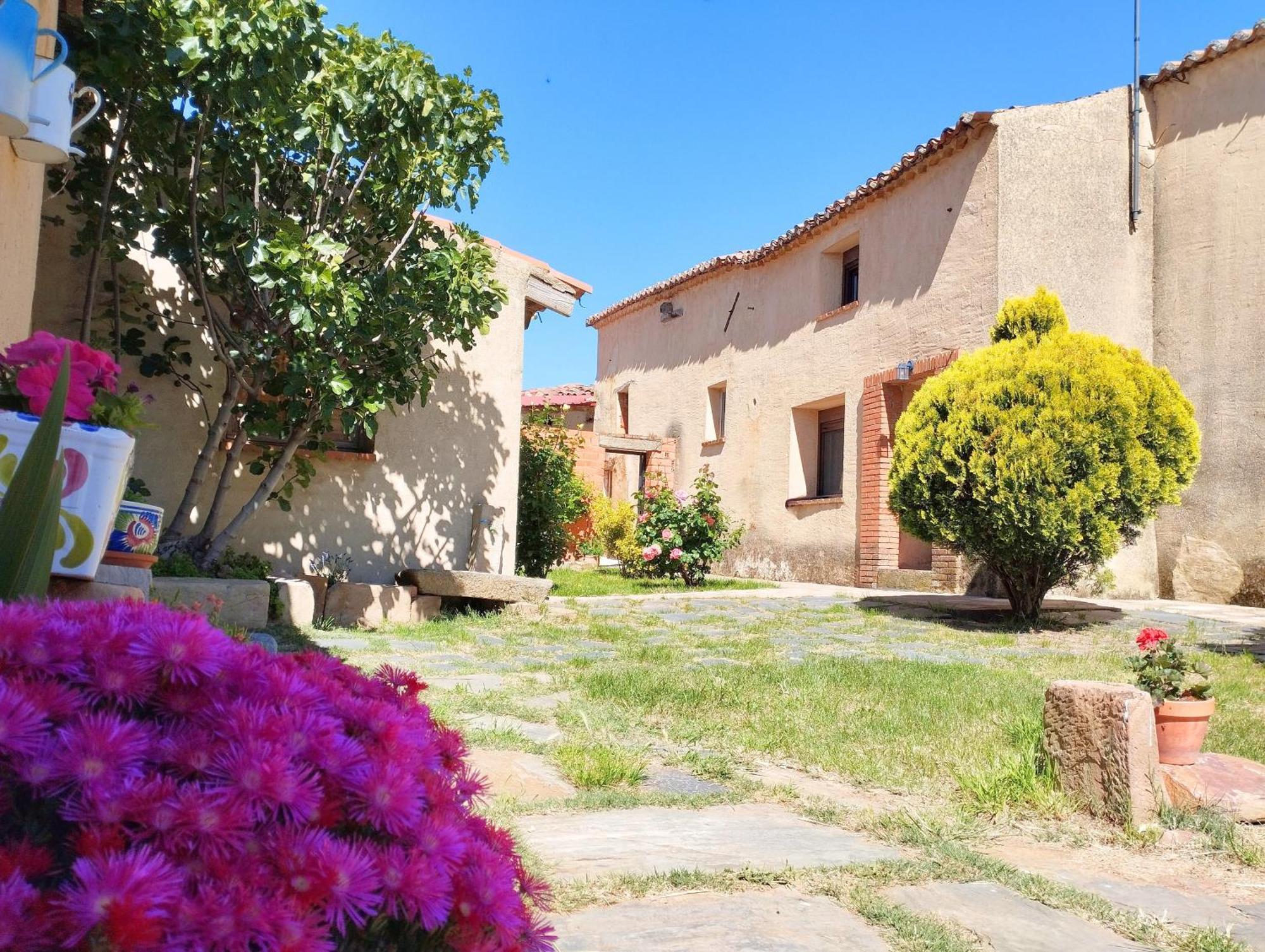 Casa Rural La Paloma - Zamora Manganeses de la Lampreana Dış mekan fotoğraf